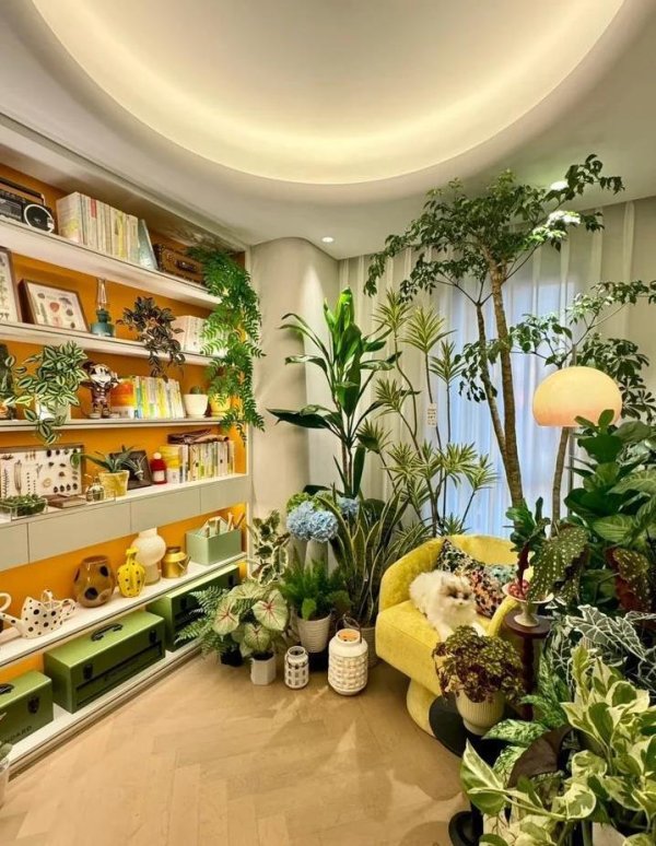 希恩配资网 宠物窝变天堂，3个小妙招，家秒变温馨乐园