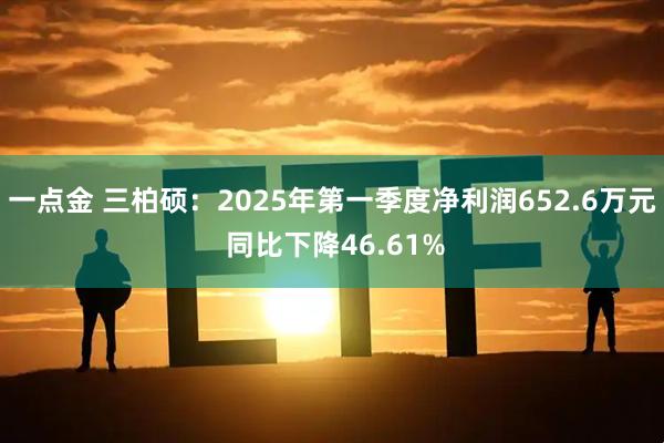 一点金 三柏硕：2025年第一季度净利润652.6万元 同比下降46.61%